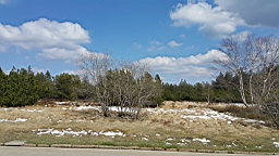 20160502_153219.jpg