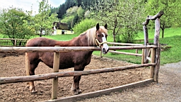 2016-05-03--08319.JPG