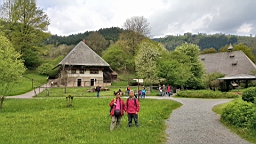 20160503_111052.jpg