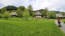 20160503_111205.jpg
