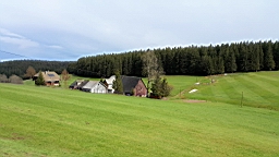 20160503_160749.jpg
