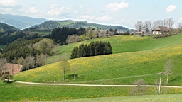 DSC00190.JPG