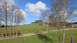 2016-05-04--08391.JPG