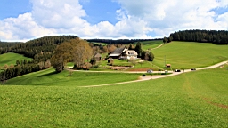 2016-05-04--08411.JPG