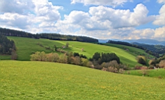 2016-05-04--08420.JPG
