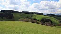 2016-05-04--08422.JPG