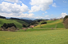 2016-05-04--08423.JPG