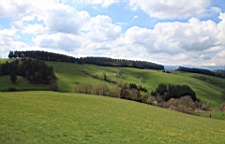 2016-05-04--08425.JPG