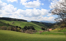 2016-05-04--08427.JPG