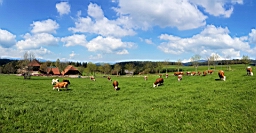 20160504_105344.jpg