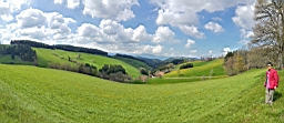 20160504_113118.jpg