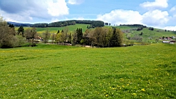 20160504_124626.jpg