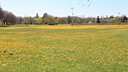 2016-05-05--08552.JPG