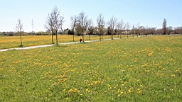 2016-05-05--08554.JPG