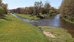 2016-05-05--08556.JPG