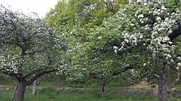 20160505_195450.jpg