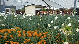 20160505_200908.jpg