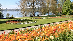 2016-05-06--08661.JPG