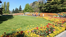 2016-05-06--08667.JPG
