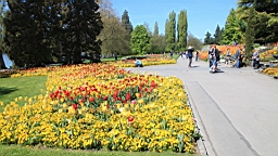 2016-05-06--08672.JPG