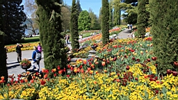 2016-05-06--08673.JPG