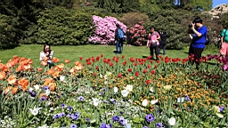 2016-05-06--08696.JPG
