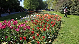 2016-05-06--08700.JPG