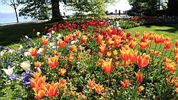 2016-05-06--08701.JPG
