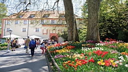2016-05-06--08727.JPG