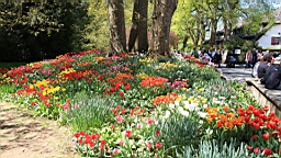 2016-05-06--08729.JPG