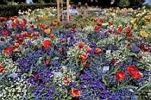 2016-05-06--08738.JPG
