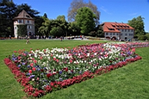 2016-05-06--08772.JPG