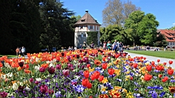 2016-05-06--08776.JPG
