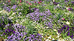2016-05-06--08785.JPG