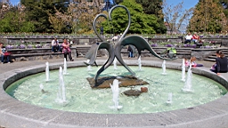 2016-05-06--08788.JPG