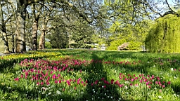 20160506_092454.jpg