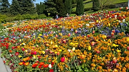 20160506_101623.jpg