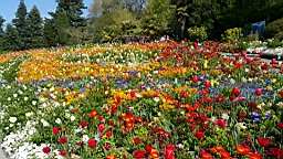 20160506_101834.jpg