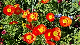 20160506_102420.jpg