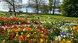 20160506_103018.jpg