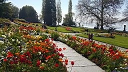 20160506_103142.jpg
