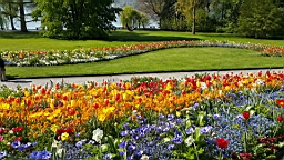 20160506_103208.jpg