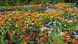 20160506_103346.jpg