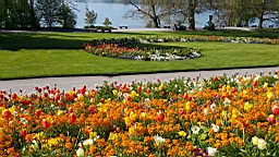 20160506_104525.jpg