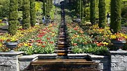 20160506_105127.jpg