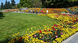 20160506_105220.jpg