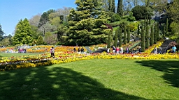 20160506_105720.jpg