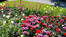 20160506_111251.jpg