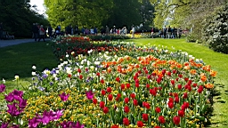 20160506_112629.jpg