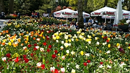 20160506_125018.jpg